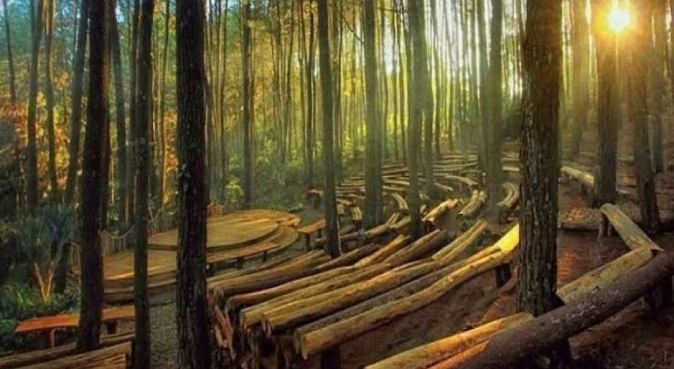 Wisata Hutan Pinus Mangunan